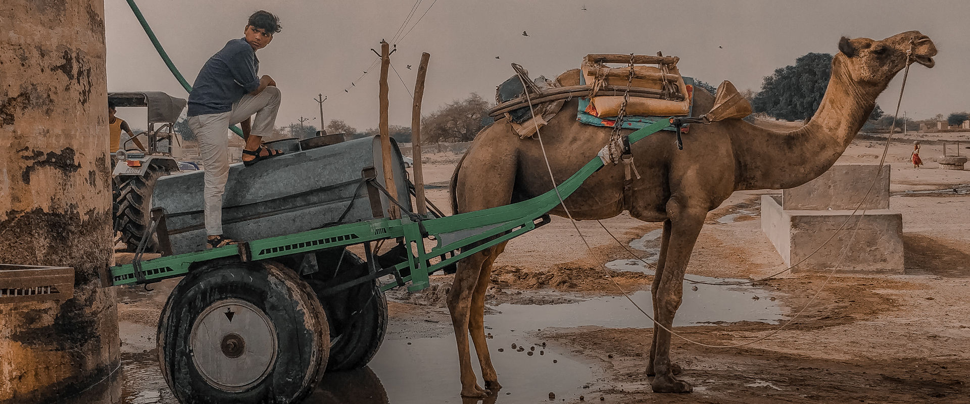 From liability to coexistence: Changing relations of camels with the community