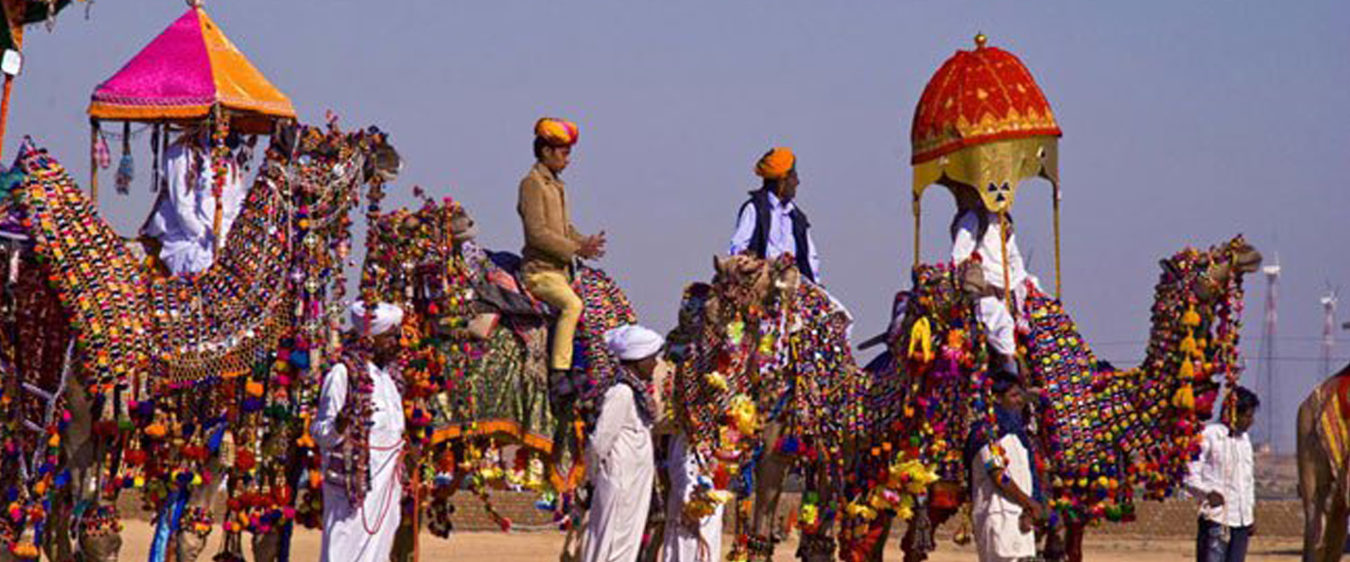 Camel Festival 2023